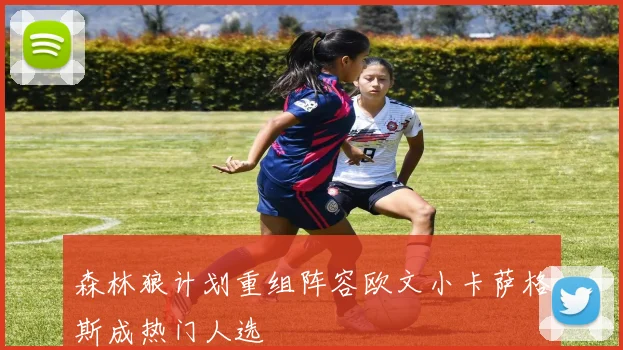 森林狼计划重组阵容欧文小卡萨格斯成热门人选