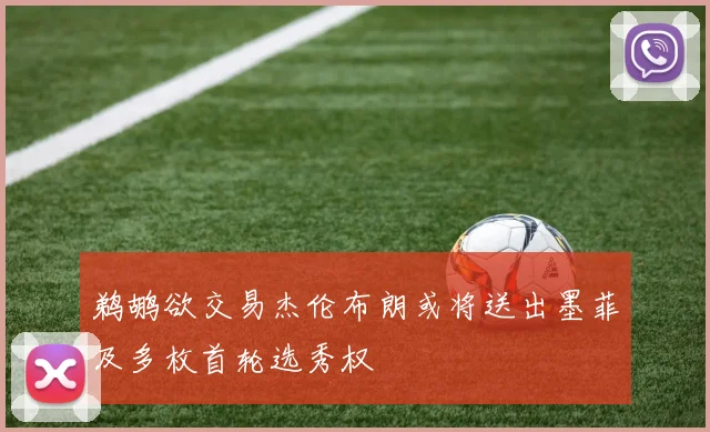 鹈鹕欲交易杰伦布朗或将送出墨菲及多枚首轮选秀权