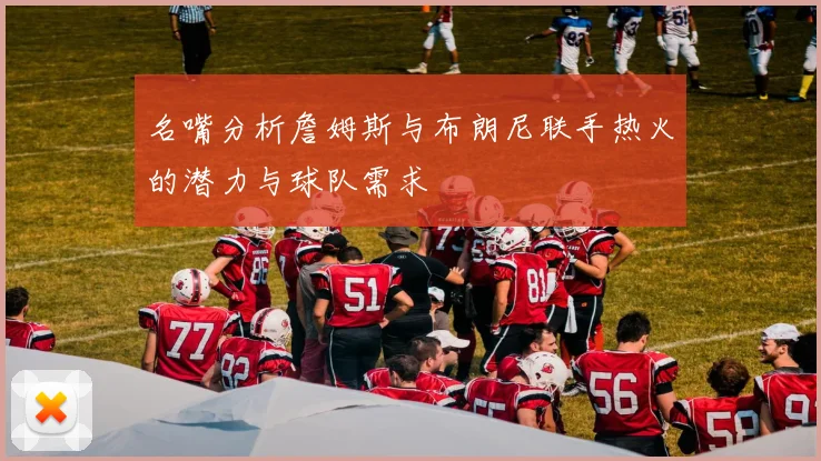 名嘴分析詹姆斯与布朗尼联手热火的潜力与球队需求